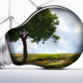 Corporate Responsibility