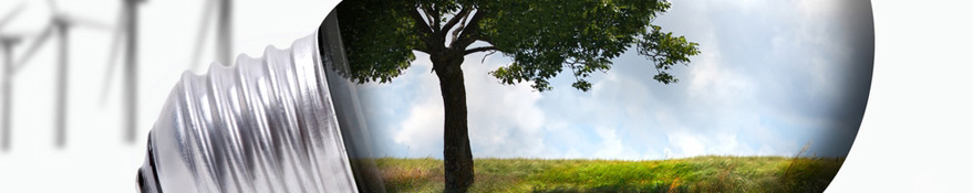 Corporate responsibility